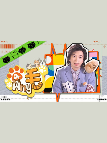 Dr. Any毛
