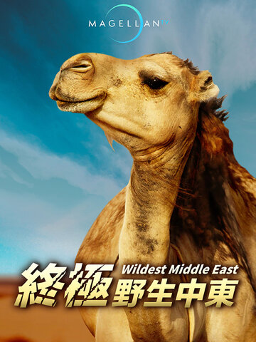 終極野生中東