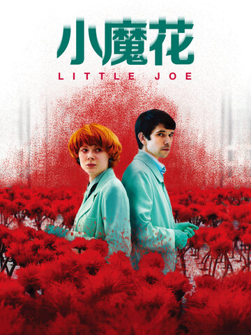 小魔花