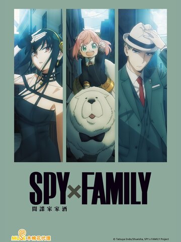 (中) SPY X FAMILY 間諜家家酒