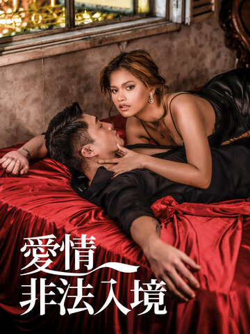 愛情非法入境
