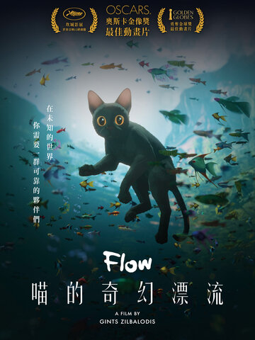 喵的奇幻漂流