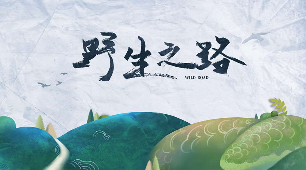 野生之路