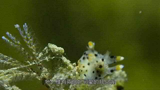 第8集 東北角-45:51-thumbnail