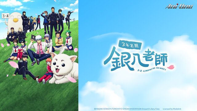 銀魂3年Z班銀八老師劇照