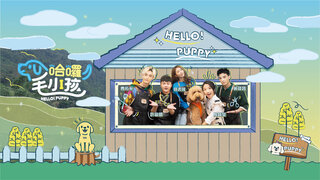 哈囉!毛小孩劇照