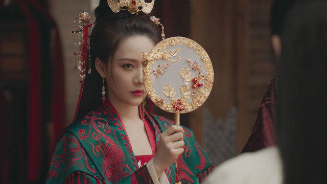將軍夫人為何那樣劇照