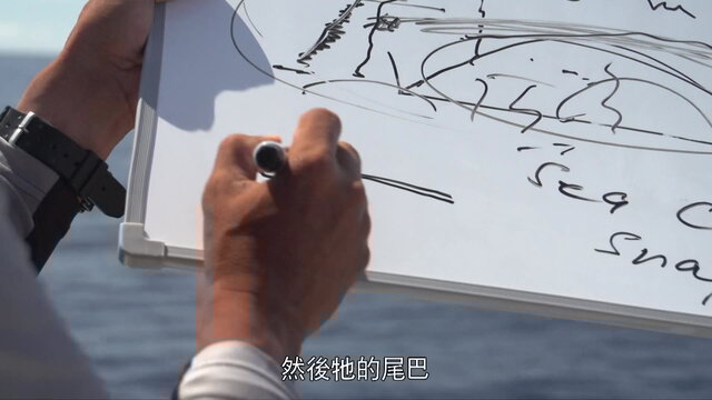 第2集 菲律賓薄荷島跳島-48:50-thumbnail