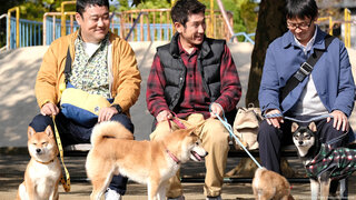 柴公園劇照